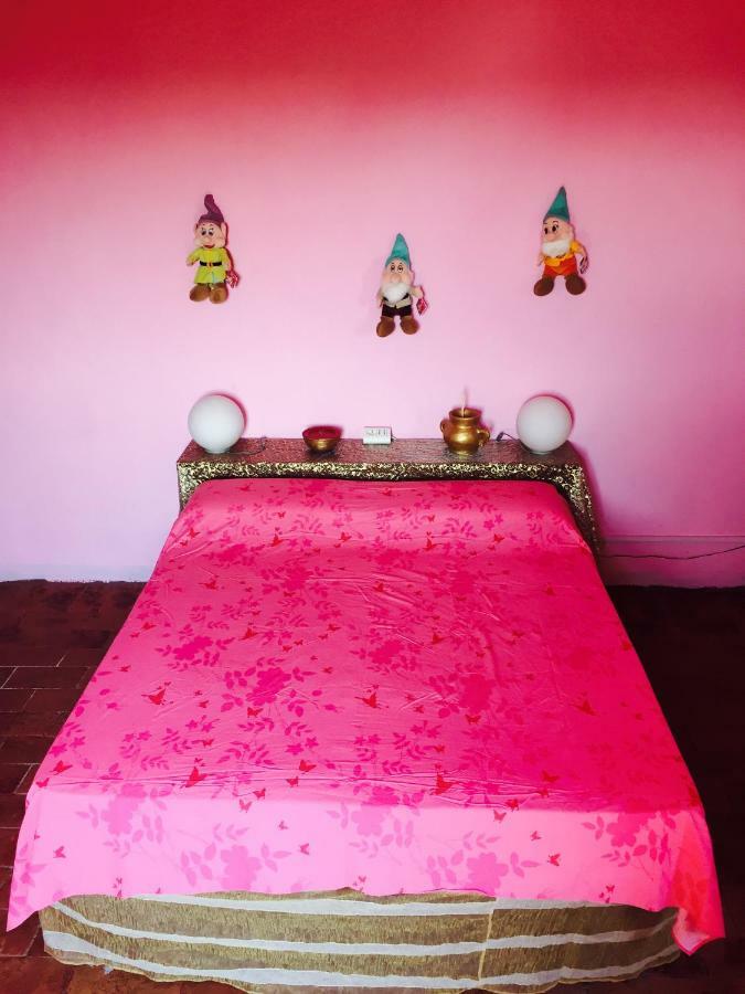 Il Rudere Bed & Breakfast Ravenna Dış mekan fotoğraf