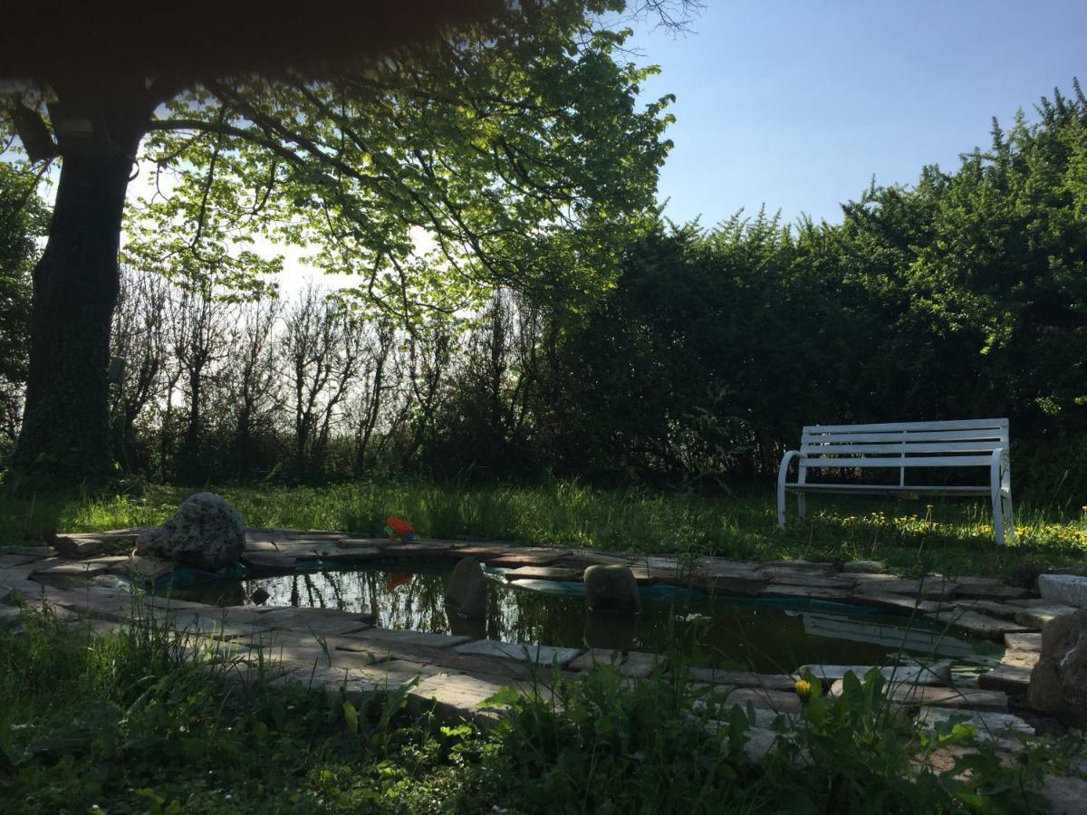 Il Rudere Bed & Breakfast Ravenna Dış mekan fotoğraf
