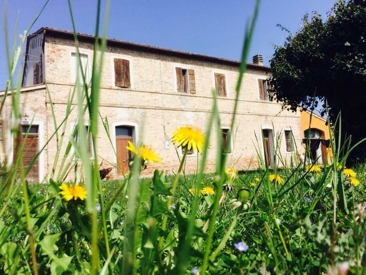 Il Rudere Bed & Breakfast Ravenna Dış mekan fotoğraf